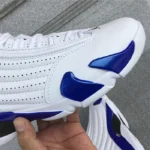 Air Jordan 14 Hyper Royal (5)